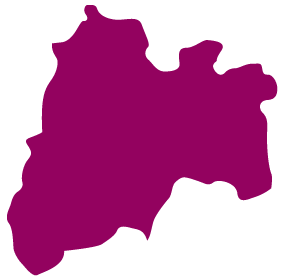 Estado de Mexico