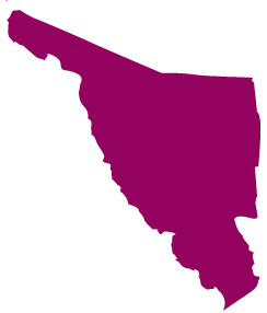 Sonora